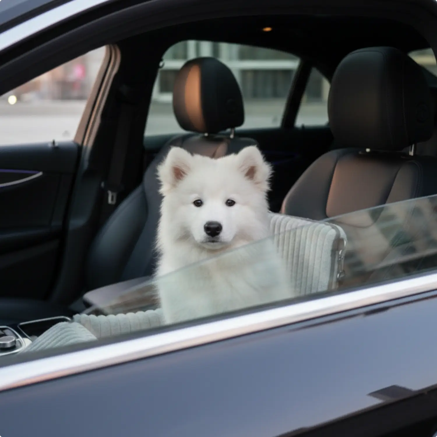Hundeautositz Sitzerhöhung Reisegurt Mesh Abdeckung - Image 4