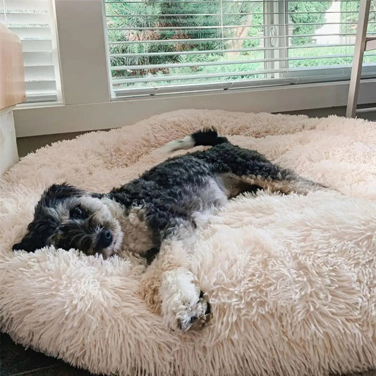 Hundebett Kissen Beruhigendes Design - Image 1