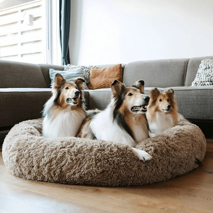 Hundebett Kissen Beruhigendes Design - Image 5