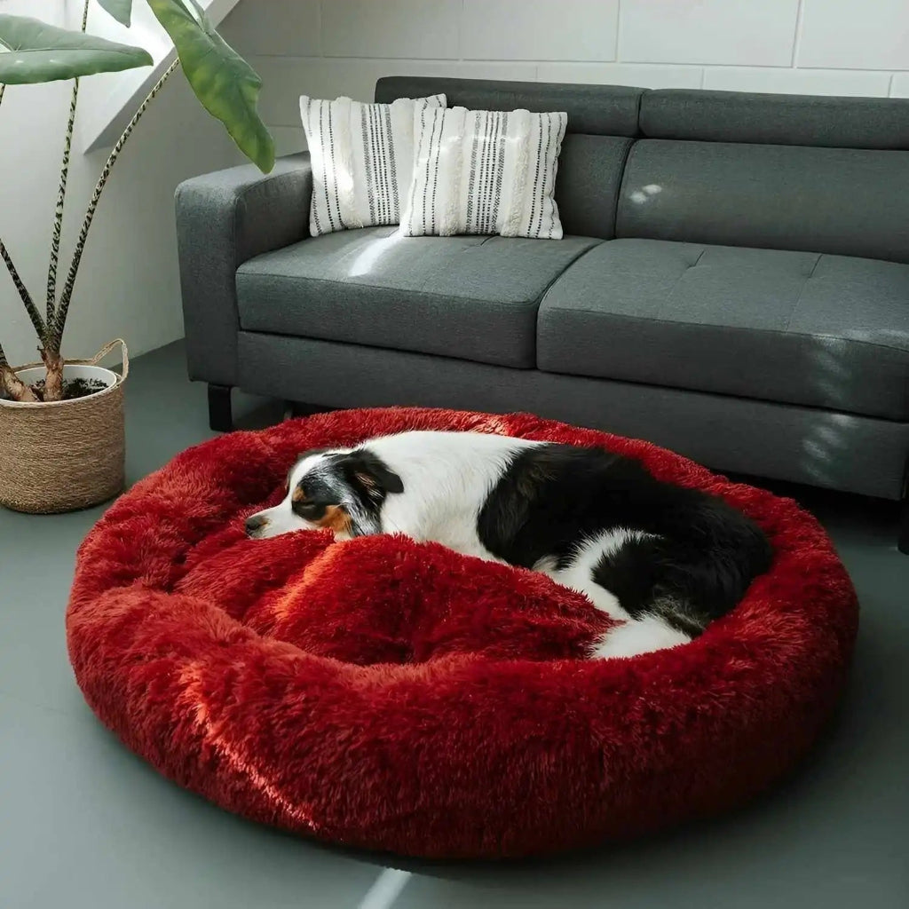Hundebett Kissen Beruhigendes Design - Image 6
