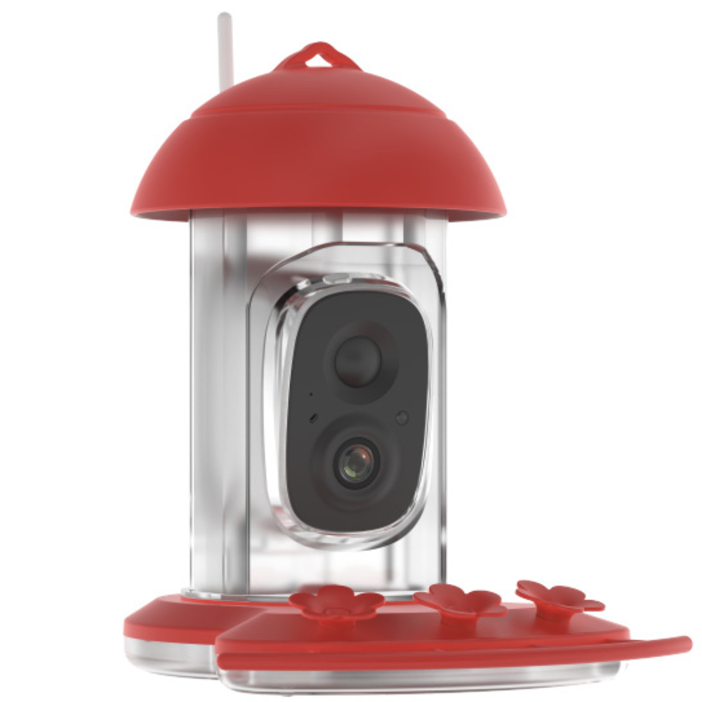 Vogelhaus Kamera Solar WLAN Vogelbeobachtung