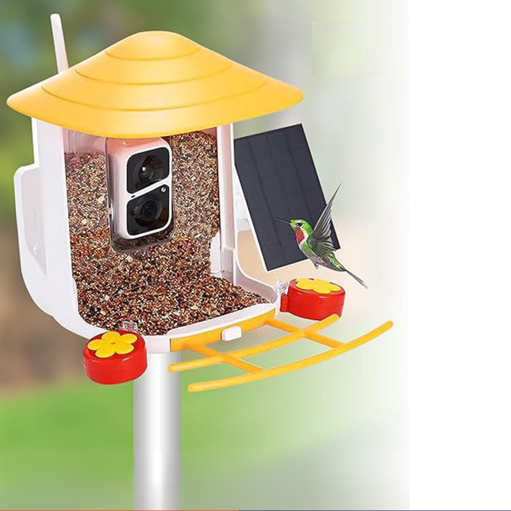 Vogelhaus Kamera Solar WLAN Vogelbeobachtung