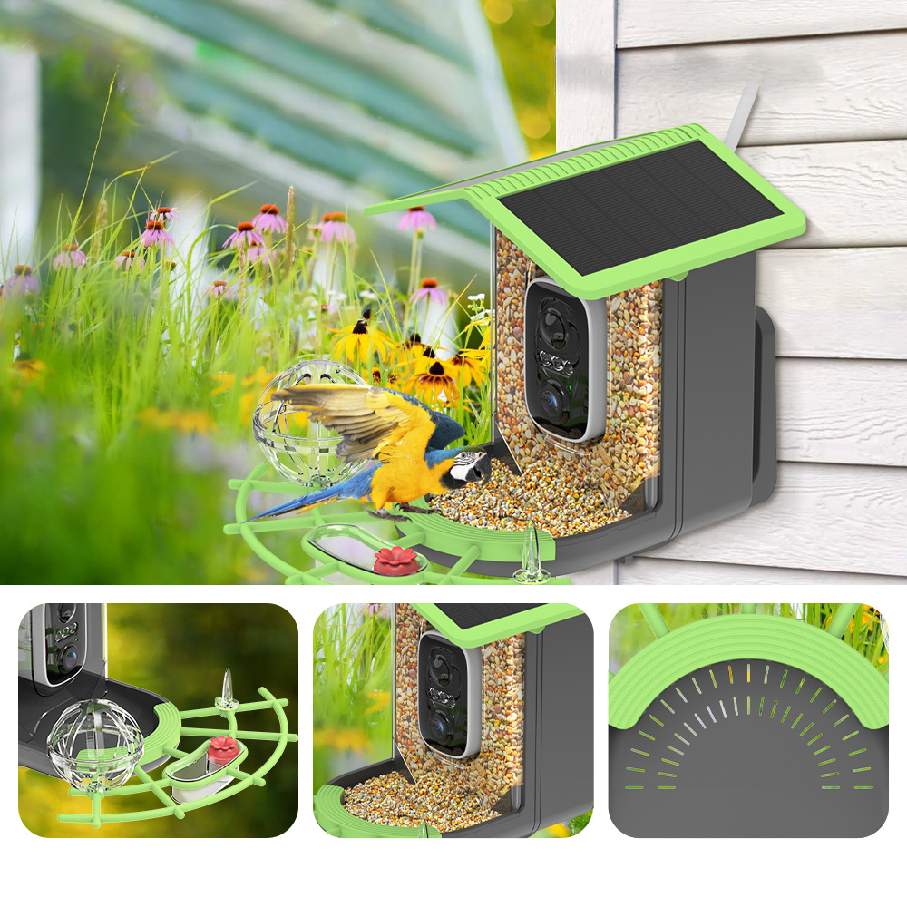 Vogelhaus Kamera Solar WLAN Vogelbeobachtung