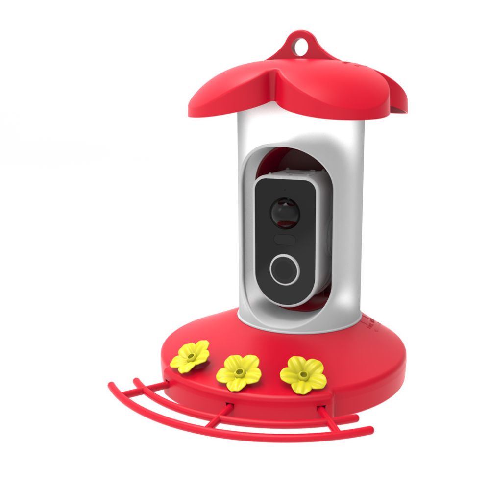 Vogelhaus Kamera Solar WLAN Vogelbeobachtung