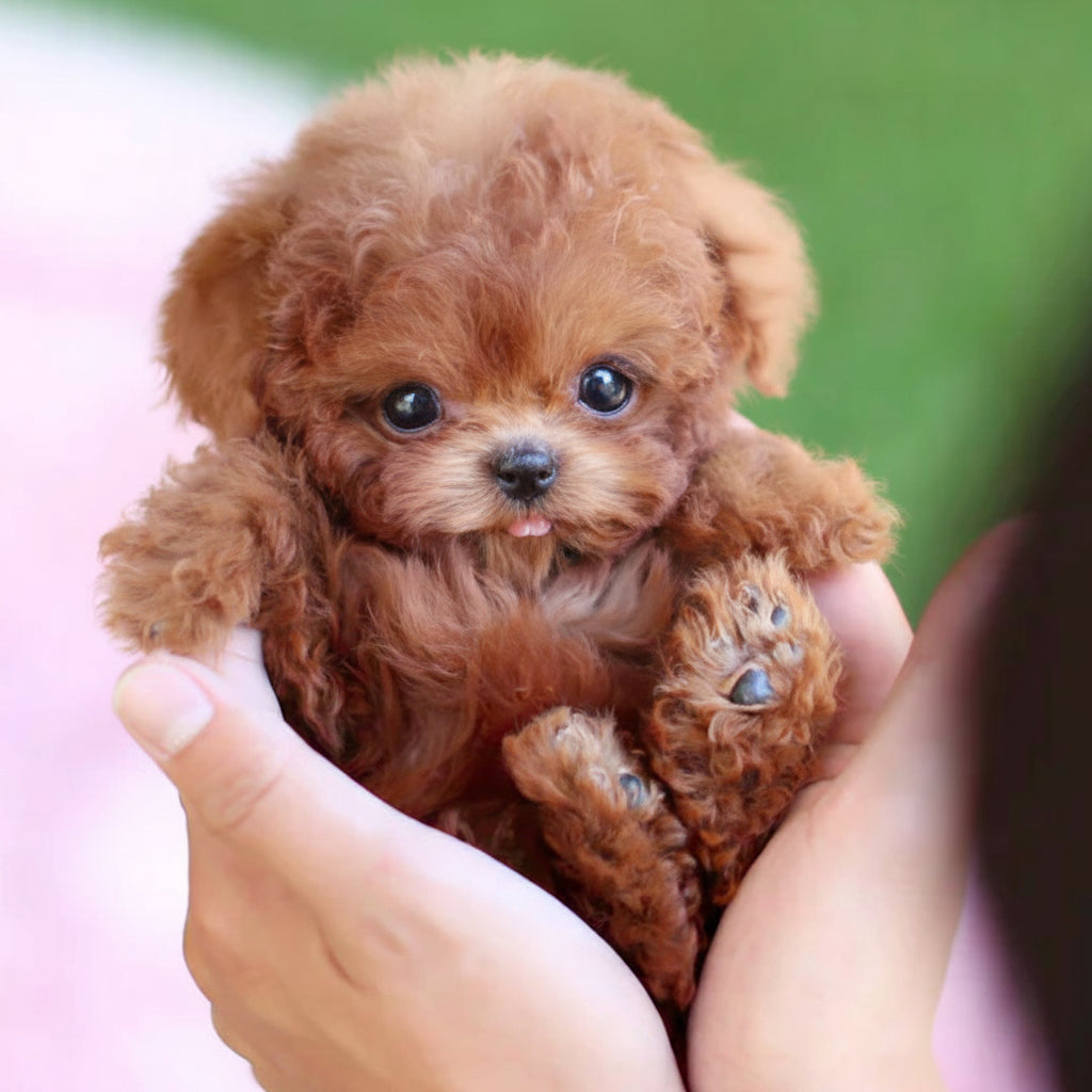 Jouet Chien Interactif Occupation Chiot Stimule Intelligence