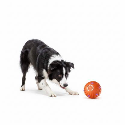 Interaktiver Hundeball Spielzeug Haustiere - Image 1