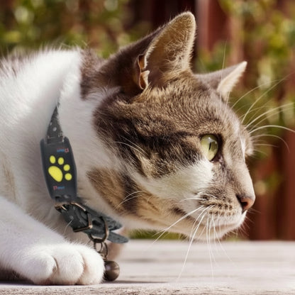 Katzen GPS Tracker Haustiere Echtzeit Ortung - Image 4