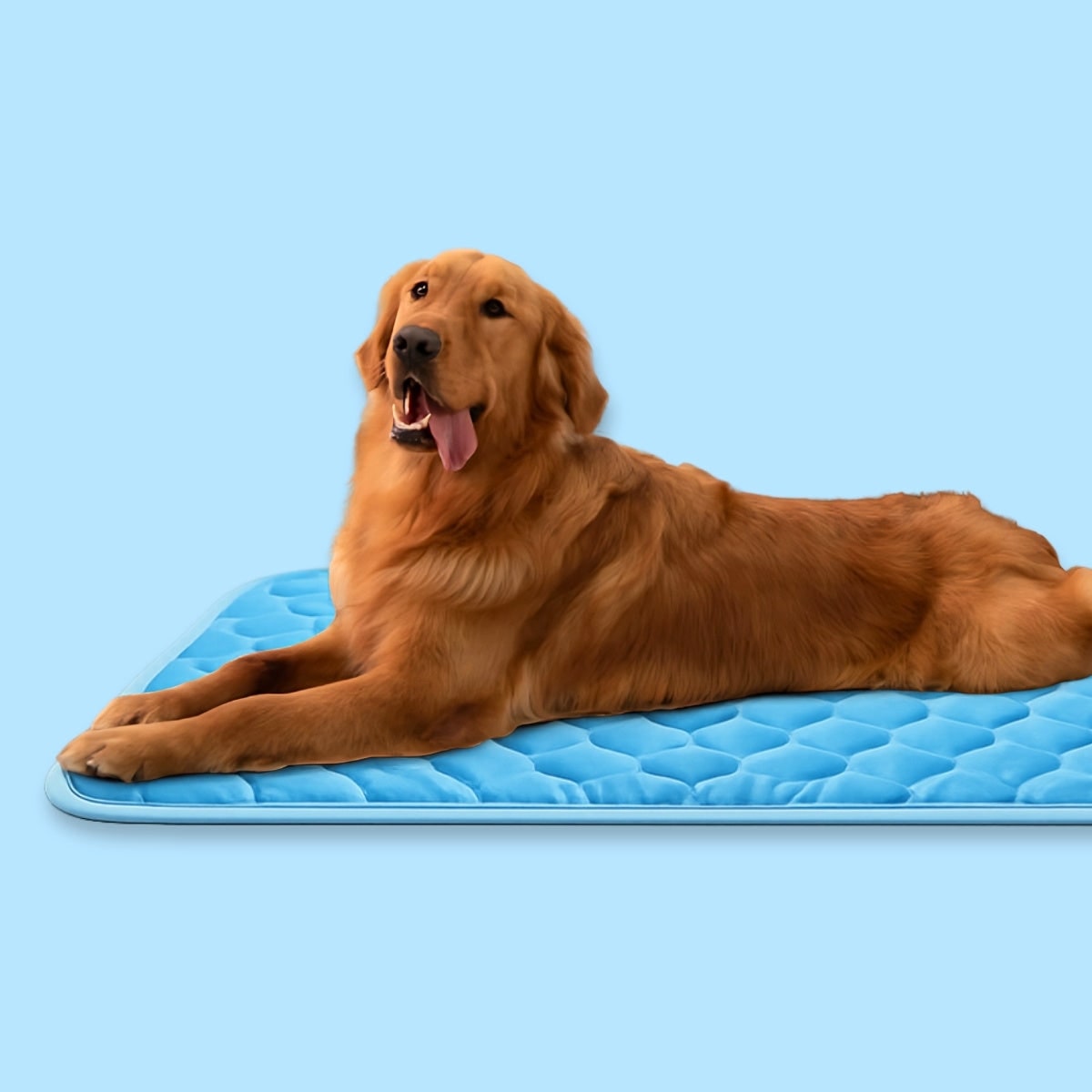 Kühlende Hundematte Anti Rutsch Haustiere - Image 1