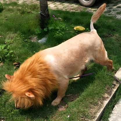 Costume de chien Crinière de lion en peluche Halloween