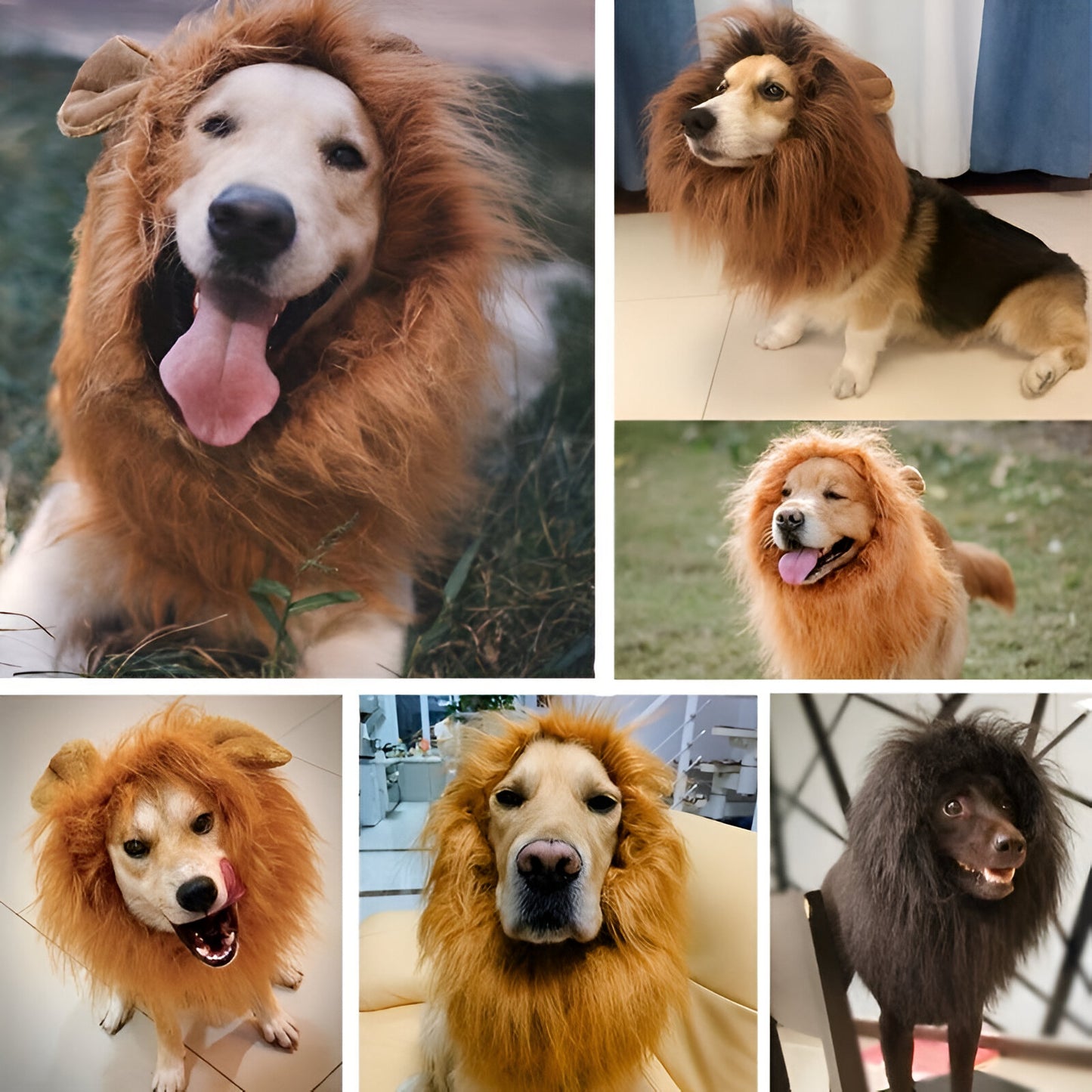 Costume de chien Crinière de lion en peluche Halloween