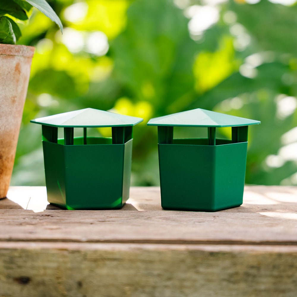 Trap Snail Trap Garden Snail Protection Reusable