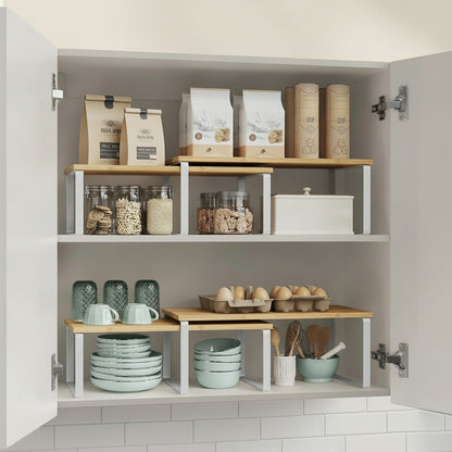 Two-Tier Spice Rack Practical Space-Saving Spice Storage