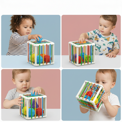 Jouet enfant Boîte de tri Formes en bois Jouet éducatif motricité