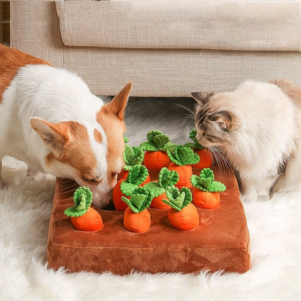 Giocattolo per cani a forma di carota gioco interattivo con snack peluche