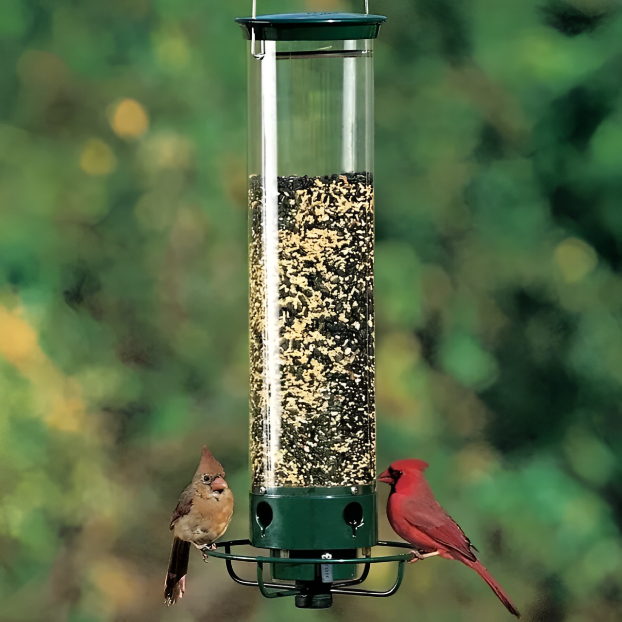 Vogelfutterspender Für Vögel Nagerfreundlich - Image 1