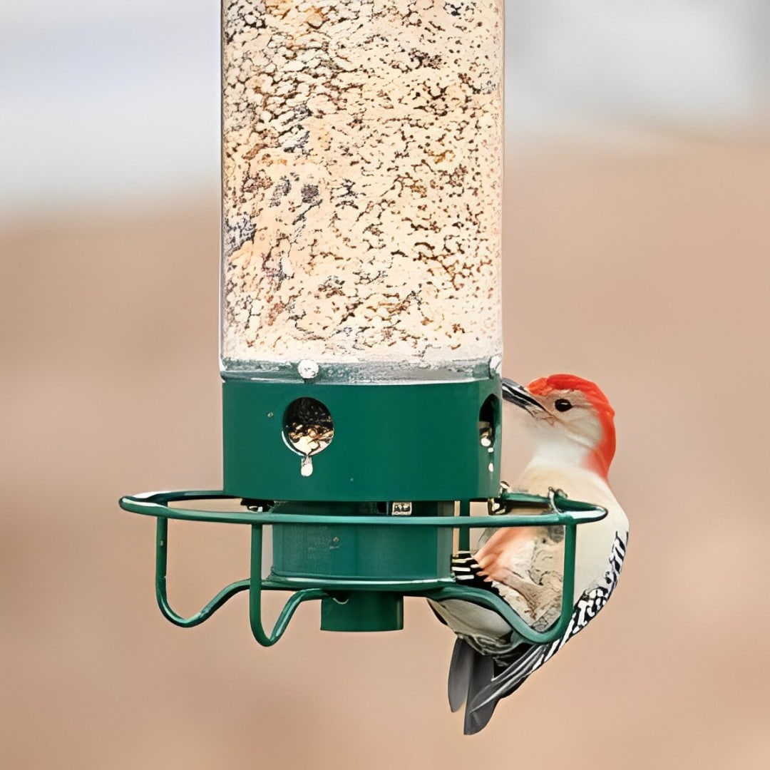 Vogelfutterspender Für Vögel Nagerfreundlich - Image 3