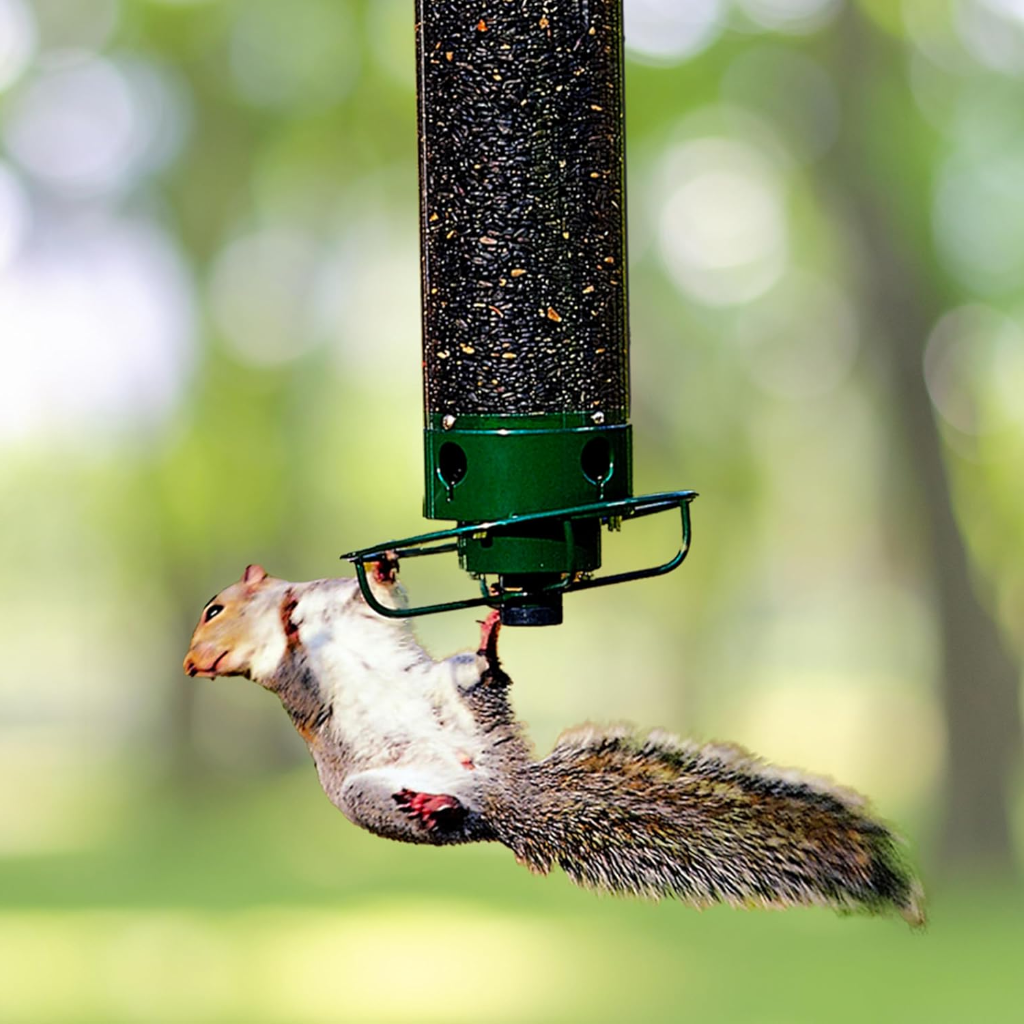 Vogelfutterspender Hängendes Design Mehrere Futteröffnungen - Image 1