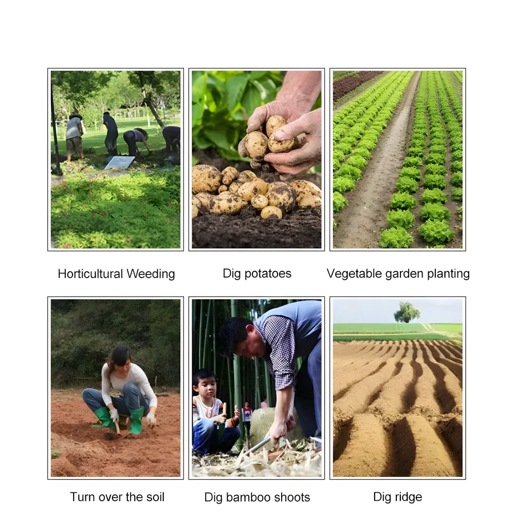 Unkrautentferner Handgerät Stahl Gartenwerkzeug