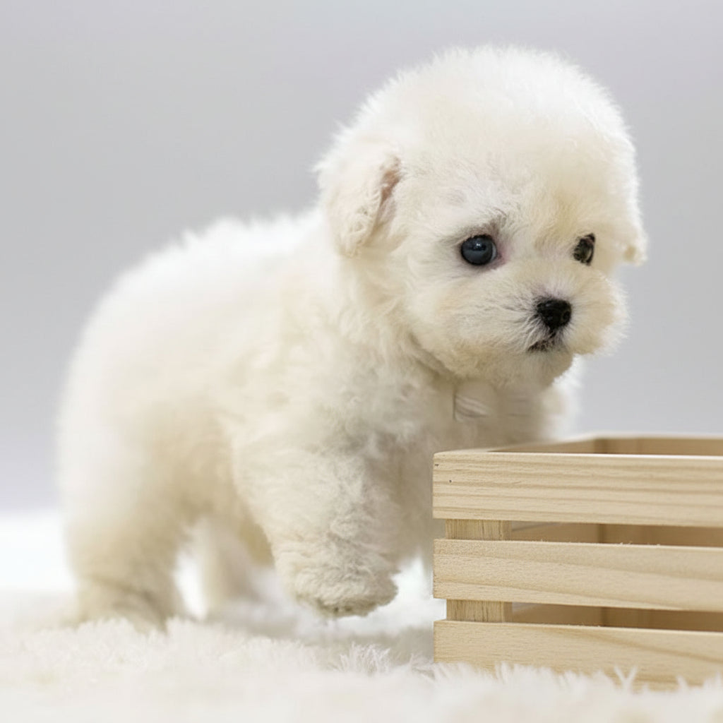 Interactive Plush Dog Toy Fun Engaging Pet Playmate