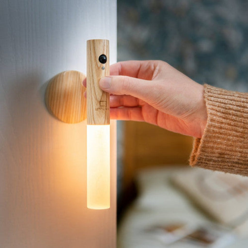 LED Portable Wireless Dimmable Indoor Wall Light