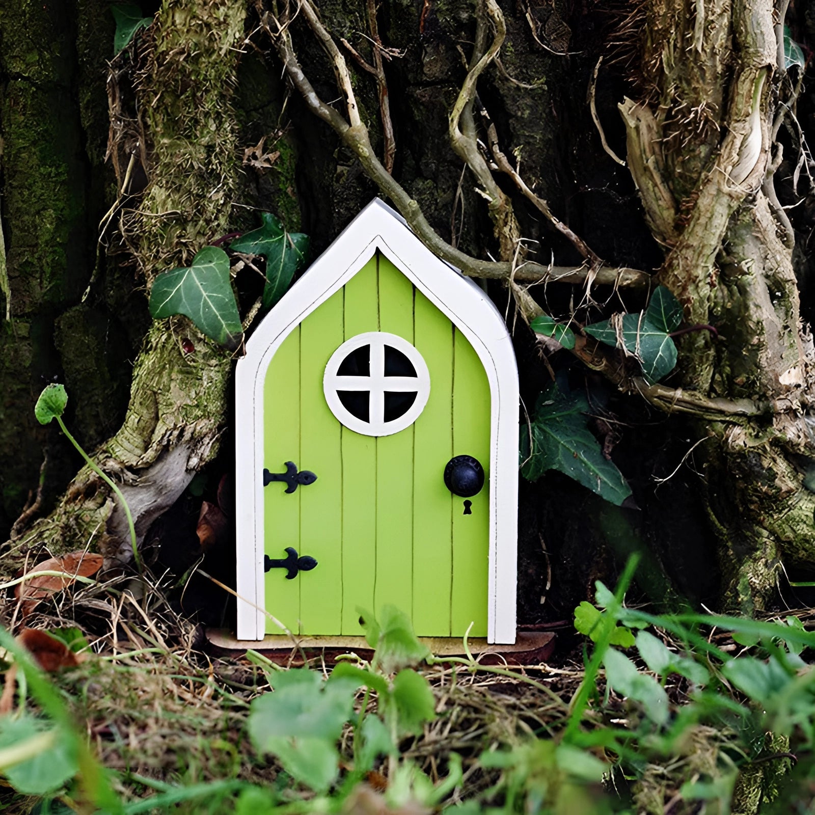 Miniature green fairy garden door with a window, set within a whimsical tree trunk surrounded by lush vegetation and leaves, capturing an enchanted woodland atmosphere.