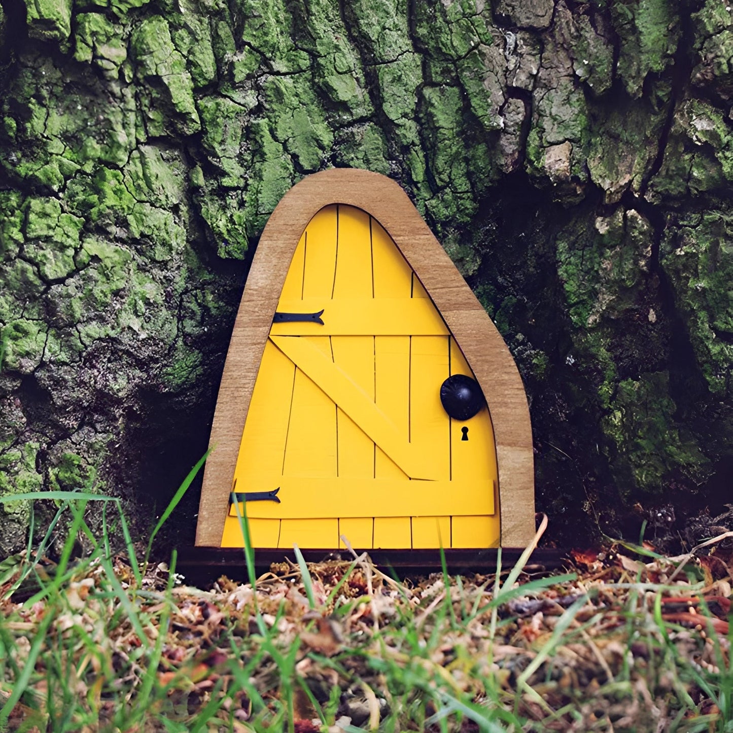 Miniature enchanted fairy garden door set in a tree surrounded by lush greenery and grass, creating a whimsical natural environment.